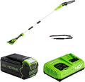 Greenworks G40PSF Élagueuse sur Perche 8-Pouces – G40UC5, 5 Ah, vert/noir/gris
