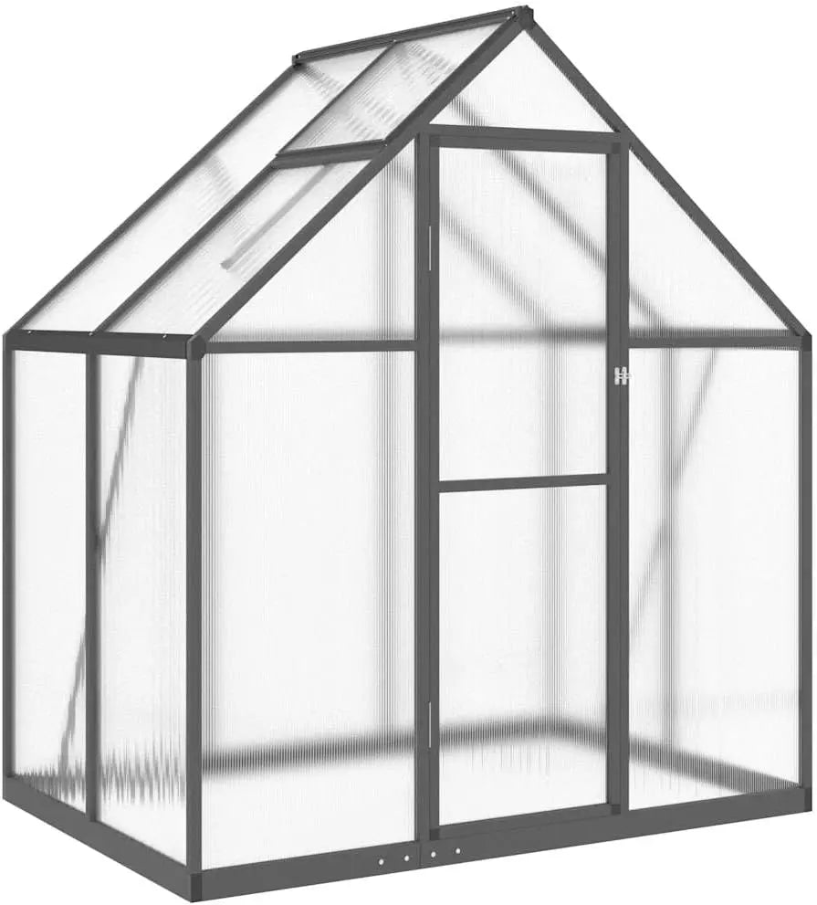 VidaXL Serre avec Cadre de Base Anthracite 169x114x195 cm Aluminium – gris anthracite