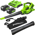 Greenworks 48 24V x 2 Aspirateur Souffleur Sans fil de Feuilles à Batterie Bandoulière – GD24X2BVK4X, 45 L, 9 m³/min, 4 Ah, gris/noir/vert