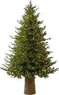 EDG Enzo De Gasperi Sapin de Noël Pin Lucciole Vert 3100 Riz LED 210 x 145 cm – décoration